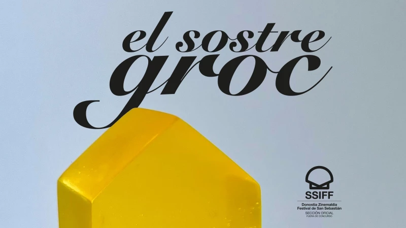 CICLE CINEMA GAUDÍ - EL SOSTRE GROC